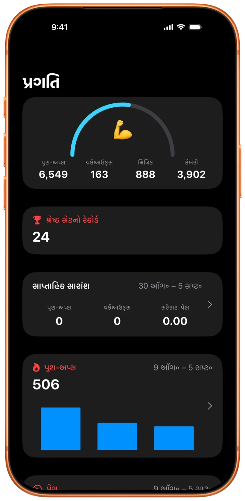 iPhone પર Pushanovaની પ્રગતિ સ્ક્રીન
