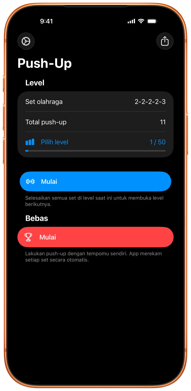 iPhone menampilkan layar mulai Pushanova