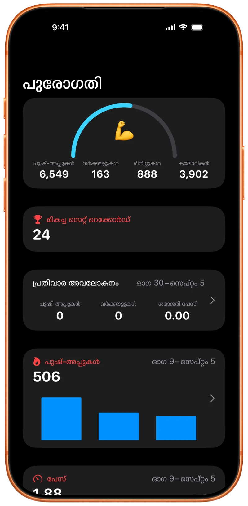 Pushanova പുരോഗതി സ്ക്രീൻ കാണിക്കുന്ന iPhone
