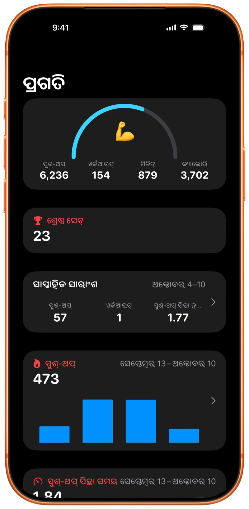 Pushanova ପ୍ରଗତି ସ୍କ୍ରିନ୍ ଦେଖାଉଥିବା iPhone