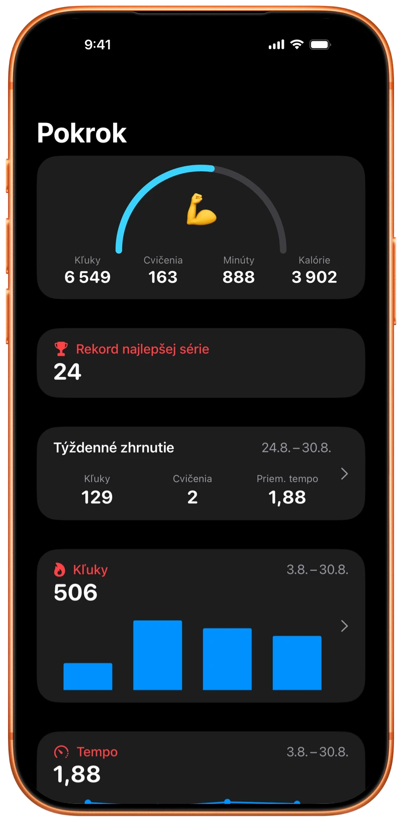 iPhone s obrazovkou Pokrok v apke Pushanova