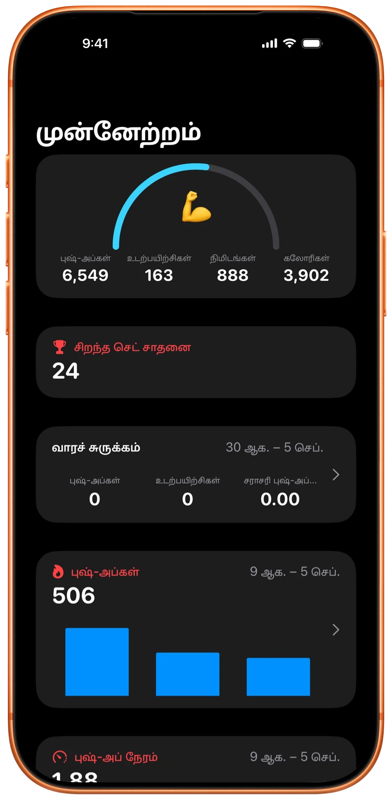 Pushanova முன்னேற்றத் திரையைக் காட்டும் iPhone
