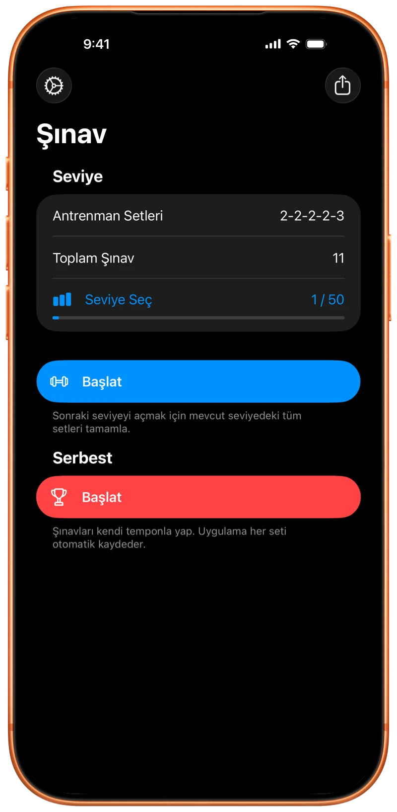Pushanova başlangıç ekranını gösteren iPhone