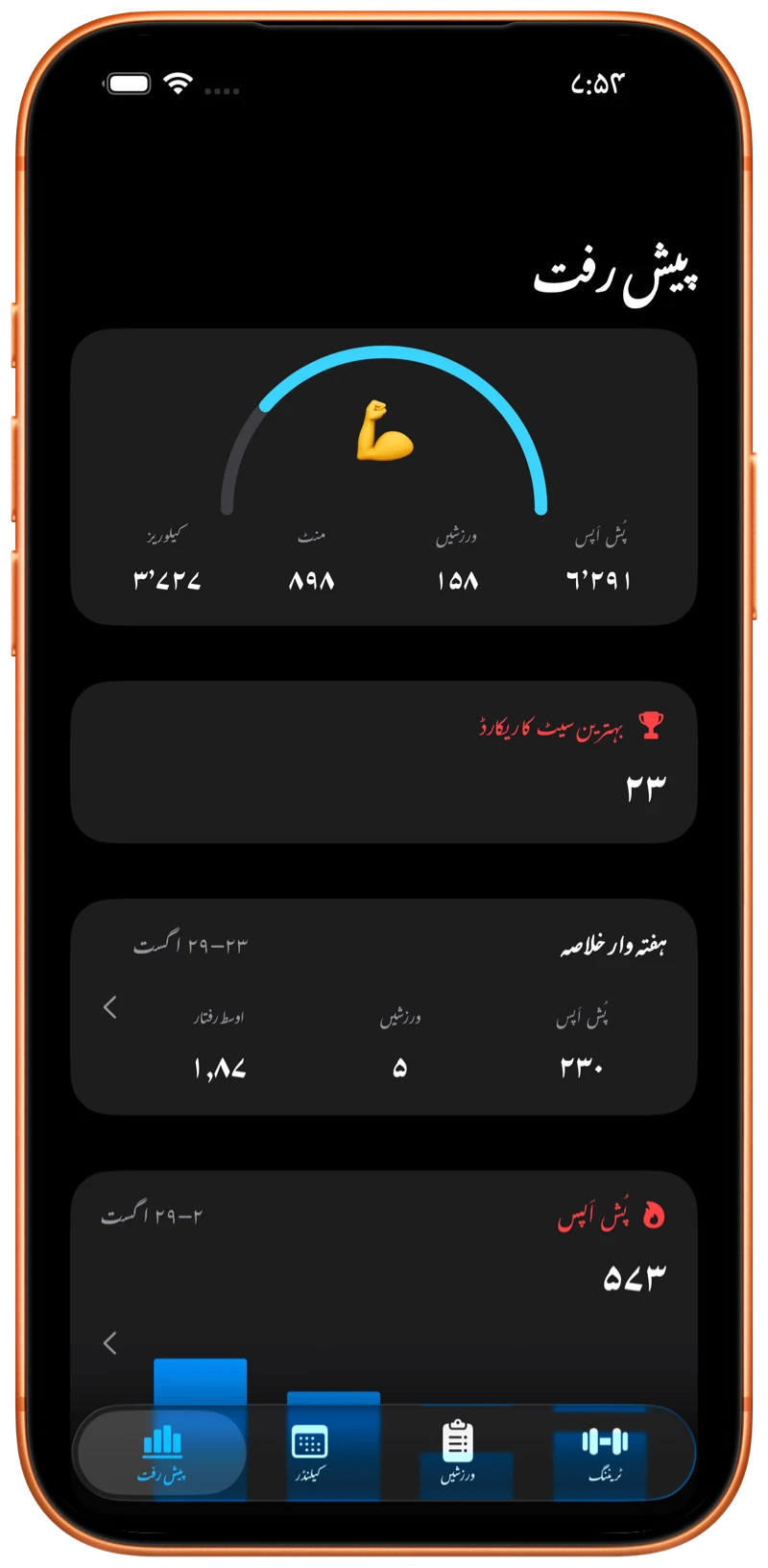 iPhone پر Pushanova کی Progress اسکرین دکھائی گئی ہے