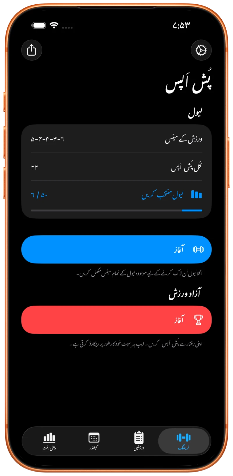 iPhone پر Pushanova کی آغاز اسکرین دکھائی گئی ہے