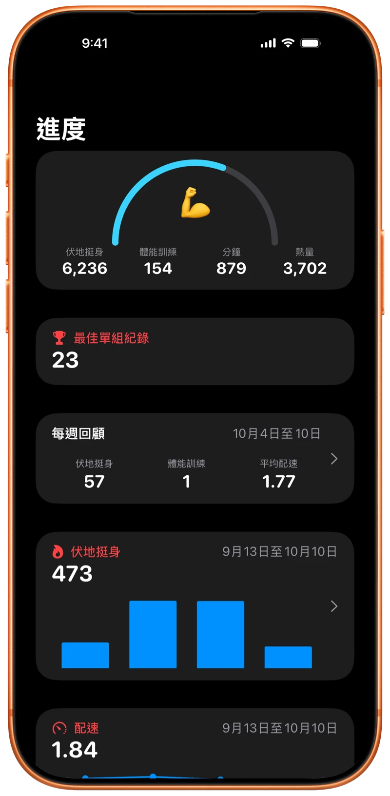 顯示 Pushanova「進度」畫面的 iPhone